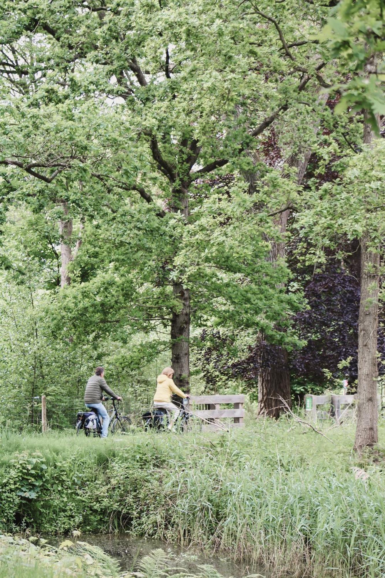 Zoomers Aan Het Bos กัสตรีกุม ภายนอก รูปภาพ